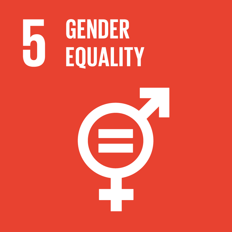 Image-of-goal-5-gender-equlity