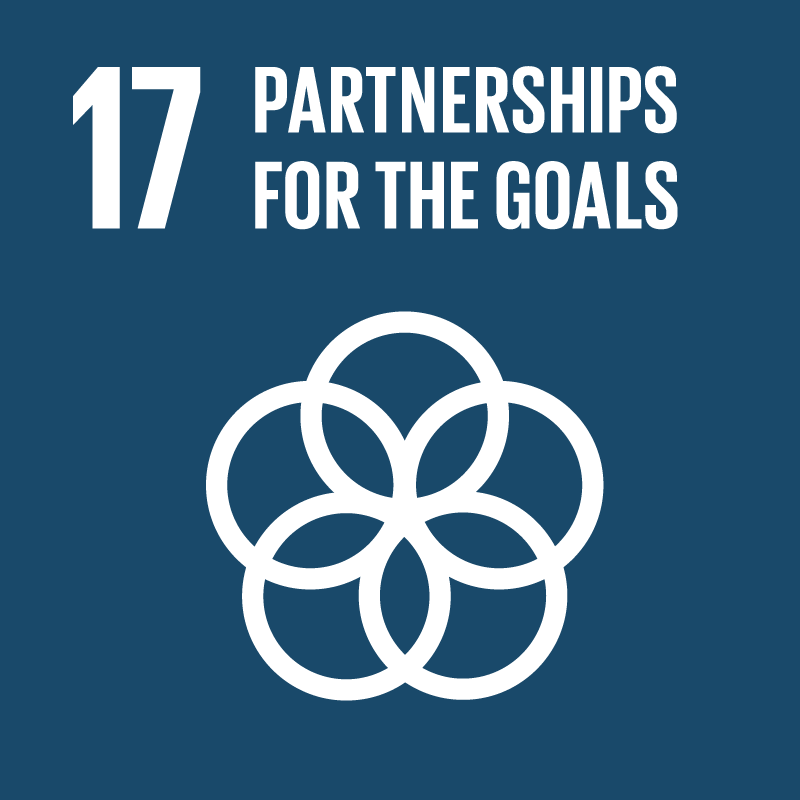 Image-of-goal-17-patnership