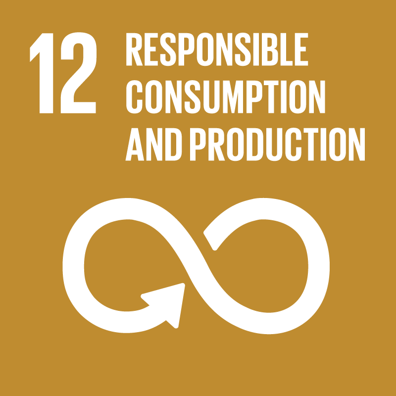 Image-of-goal-12-responsible-consumpition